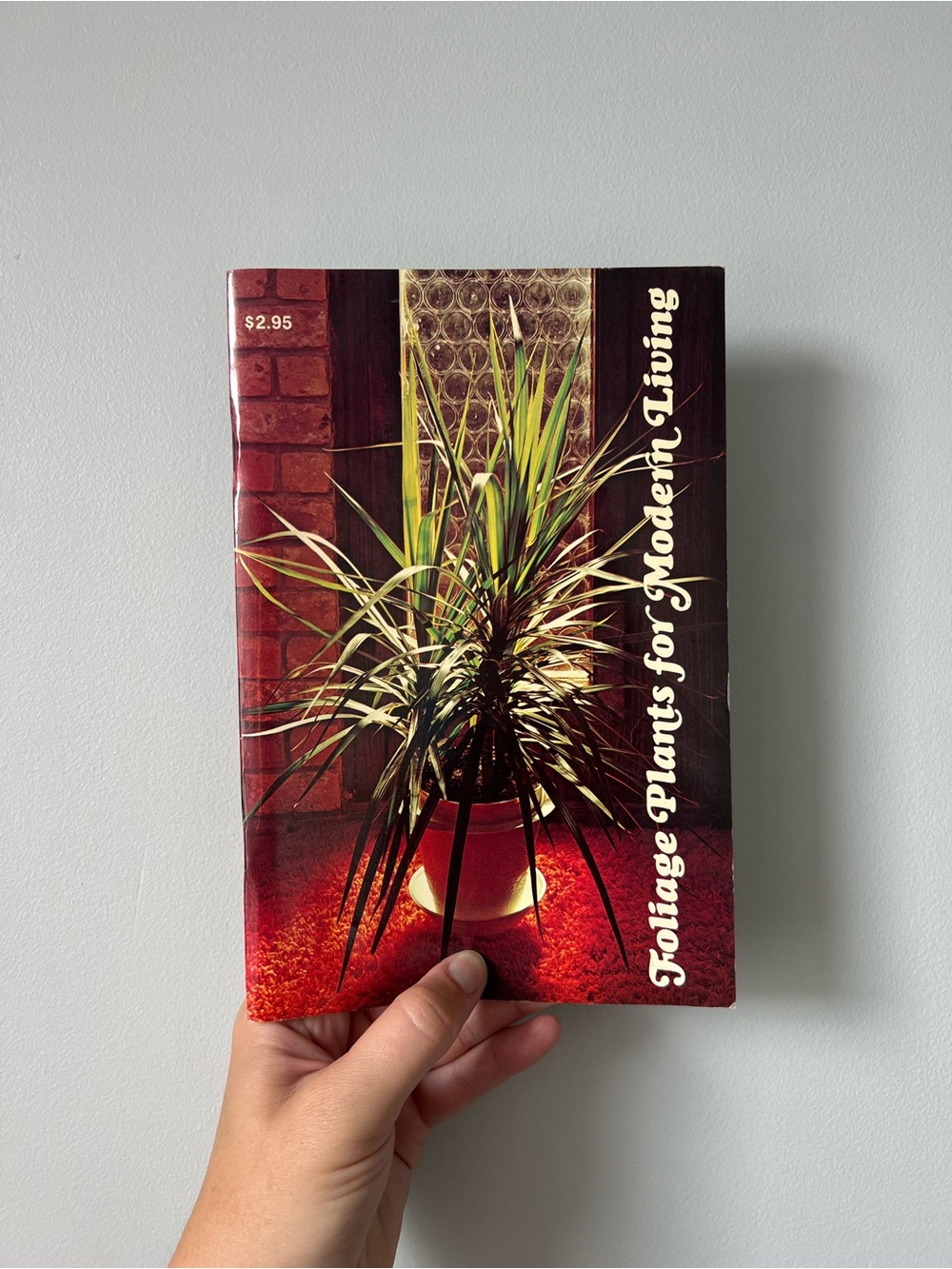 Foliage Plants for Modern Living